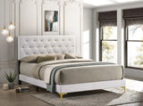 Kendall White Tufted Upholstered Panel Eastern King Bed by Coaster at Eve Furniture