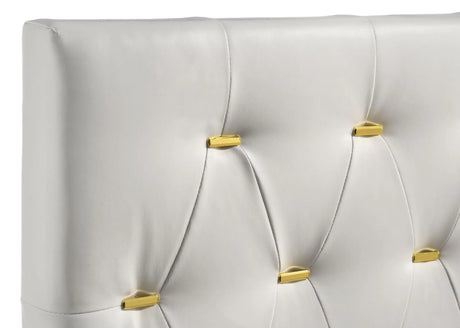 Kendall White Tufted Upholstered Panel Queen Bed by Coaster at Eve Furniture