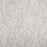 Kennett 2-piece Ivory Chenille Power Reclining Sofa Set by Coaster at Eve Furniture