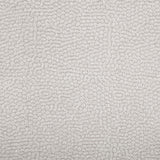 Kennett Ivory Chenille Upholstered Power Reclining Sofa by Coaster at Eve Furniture