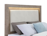 Kenora 56-inch California King LED Storage Bed Barley Brown by Coaster at Eve Furniture