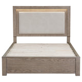 Kenora Barley Brown 56-inch Eastern King LED Storage Bed by Coaster at Eve Furniture