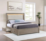 Kenora Barley Brown 56-inch Queen LED Storage Bed by Coaster at Eve Furniture