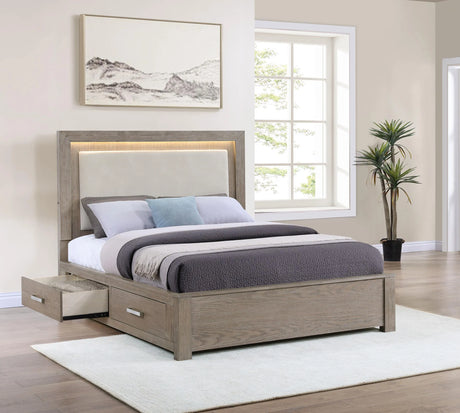 Kenora Barley Brown 56-inch Queen LED Storage Bed by Coaster at Eve Furniture