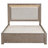 Kenora Barley Brown 56-inch Queen LED Storage Bed by Coaster at Eve Furniture