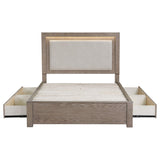 Kenora Barley Brown 56-inch Queen LED Storage Bed by Coaster at Eve Furniture