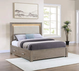 Kenora Barley Brown 56-inch Queen LED Storage Bed by Coaster at Eve Furniture
