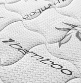 Kenyon 7" Twin Bamboo Cover Firm Foam Mattress by Coaster at Eve Furniture