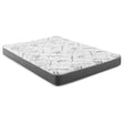 Kenyon 7" Twin Bamboo Cover Firm Foam Mattress by Coaster at Eve Furniture
