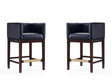 Kingsley Counter Stool in Black and Dark Walnut (set of 2) by Manhattan Comfort at Eve Furniture