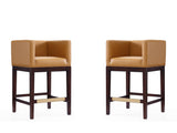 Kingsley Counter Stool in Camel and Dark Walnut (set of 2) by Manhattan Comfort at Eve Furniture