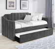 Kingston Charcoal Upholstered Twin Daybed with Trundle by Coaster at Eve Furniture