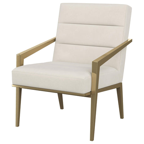 Kirra Cream/Gold Upholstered Accent Armchair with Metal Frame by Coaster at Eve Furniture