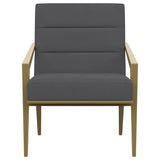 Kirra Dark Grey/Gold Upholstered Accent Armchair with Metal Frame by Coaster at Eve Furniture