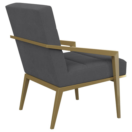 Kirra Dark Grey/Gold Upholstered Accent Armchair with Metal Frame by Coaster at Eve Furniture