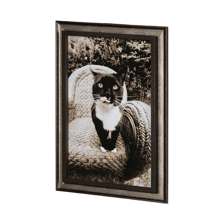 Kitty I by Jim Drafield a Framed Photo Art Print by Mercana at Eve Furniture