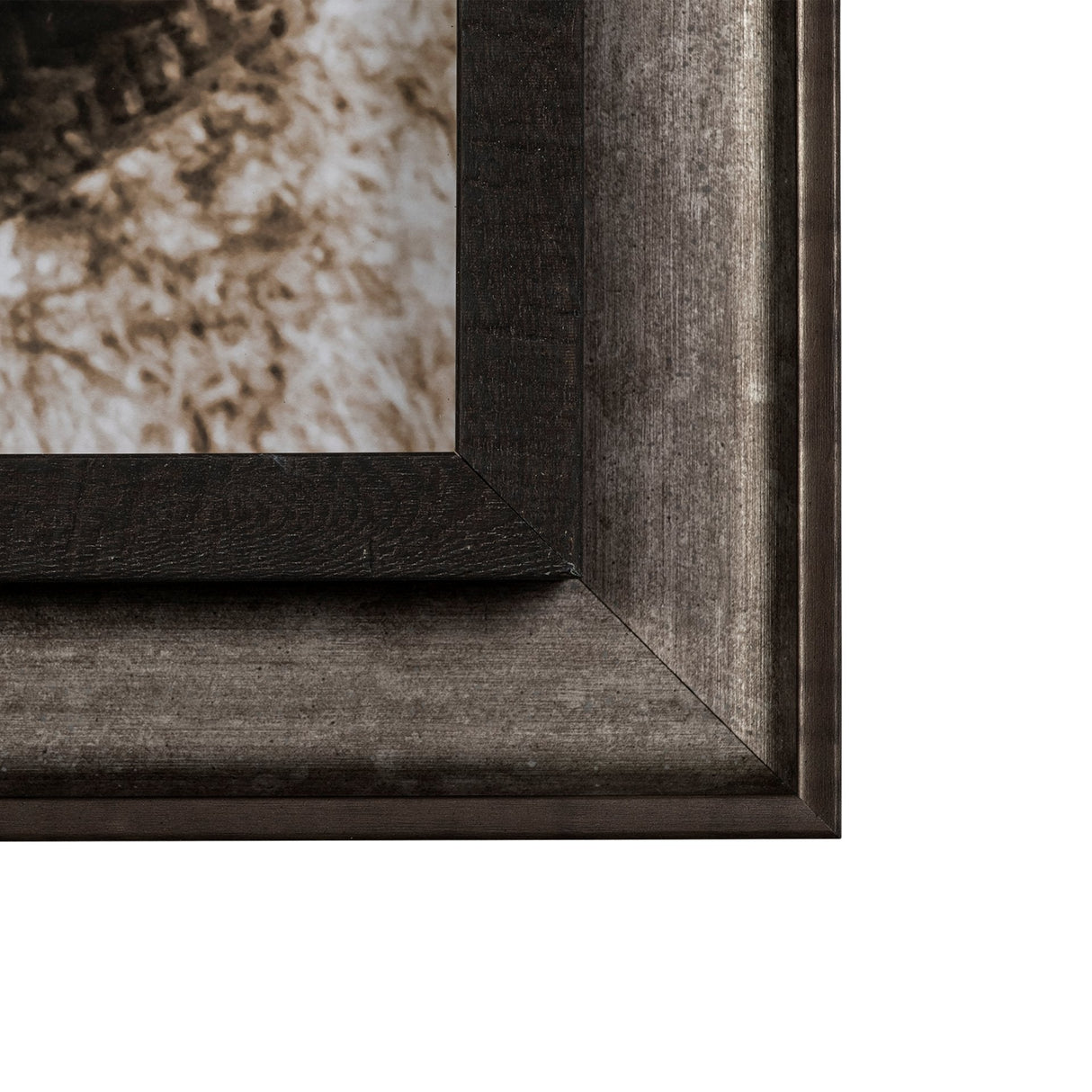 Kitty I by Jim Drafield a Framed Photo Art Print by Mercana at Eve Furniture