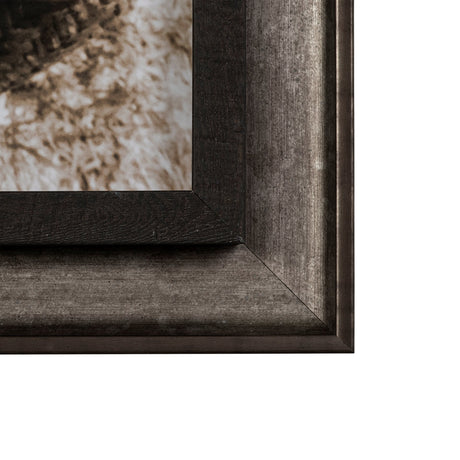 Kitty I by Jim Drafield a Framed Photo Art Print by Mercana at Eve Furniture
