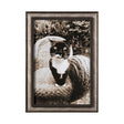 Kitty I by Jim Drafield a Framed Photo Art Print by Mercana at Eve Furniture