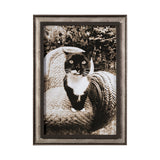 Kitty I by Jim Drafield a Framed Photo Art Print by Mercana at Eve Furniture