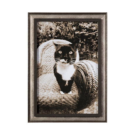 Kitty I by Jim Drafield a Framed Photo Art Print by Mercana at Eve Furniture