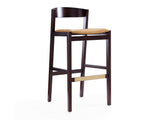 Klismos Barstool in Camel and Dark Walnut by Manhattan Comfort at Eve Furniture