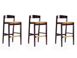 Klismos Barstool in Camel and Dark Walnut (set of 3) by Manhattan Comfort at Eve Furniture