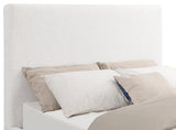 Knox Cream Upholstered Queen Platform Bed by Coaster at Eve Furniture