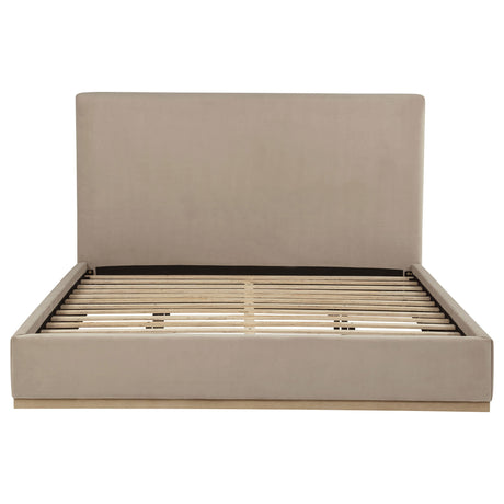 Knox Khaki Eastern King Fabric Upholstered Platform Bed by Coaster at Eve Furniture