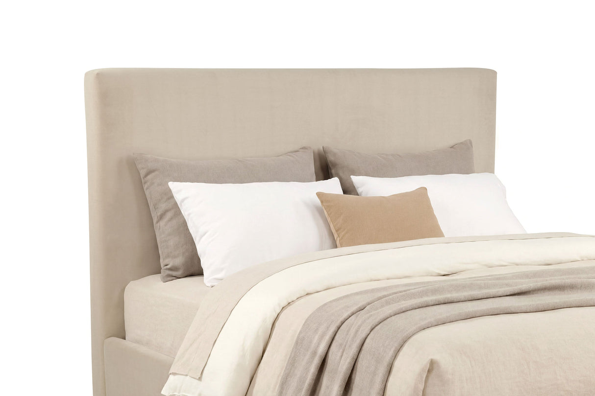 Knox Khaki Eastern King Fabric Upholstered Platform Bed by Coaster at Eve Furniture