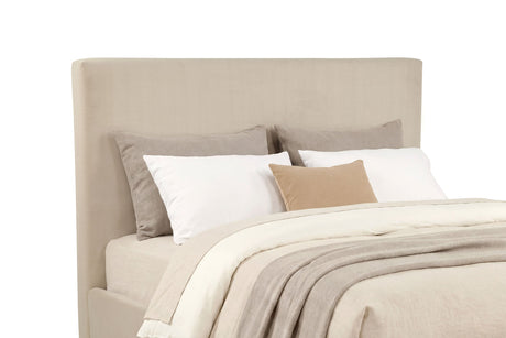 Knox Khaki Eastern King Fabric Upholstered Platform Bed by Coaster at Eve Furniture