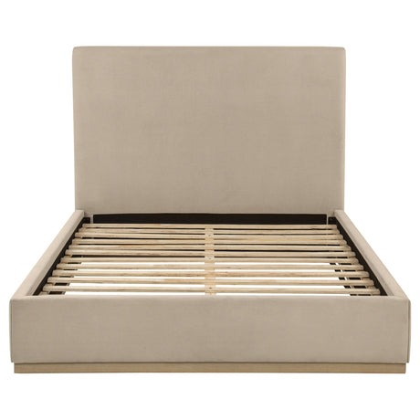 Knox Khaki Queen Fabric Upholstered Platform Bed by Coaster at Eve Furniture