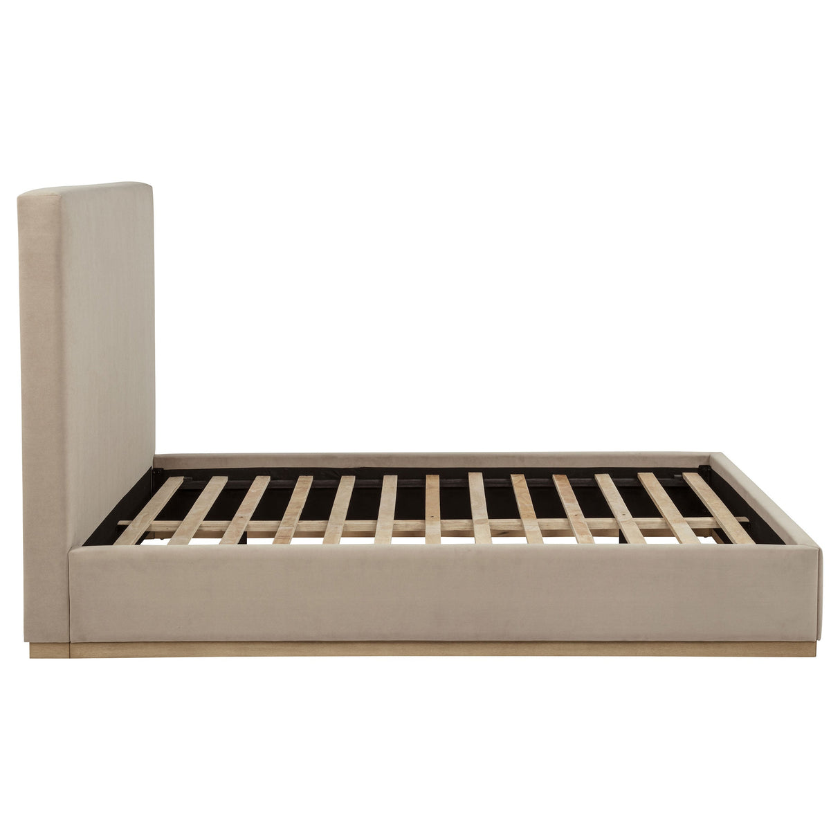 Knox Khaki Queen Fabric Upholstered Platform Bed by Coaster at Eve Furniture