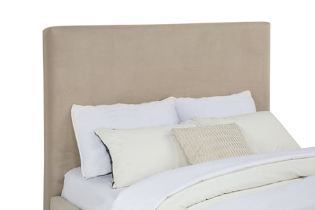 Knox Khaki Queen Fabric Upholstered Platform Bed by Coaster at Eve Furniture