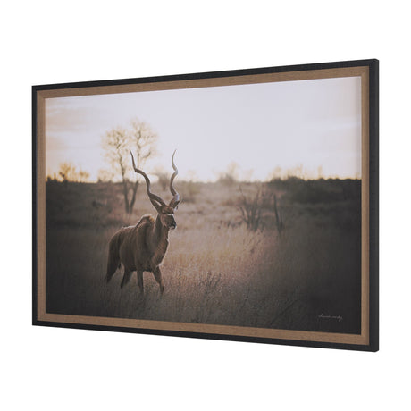 Kudu Bull by Sharon Vardy a Hand Embellished Framed Photo Art Print Matted under Glass by Mercana at Eve Furniture