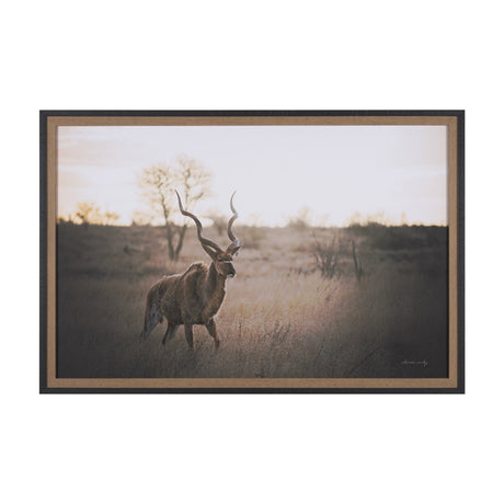 Kudu Bull by Sharon Vardy a Hand Embellished Framed Photo Art Print Matted under Glass by Mercana at Eve Furniture