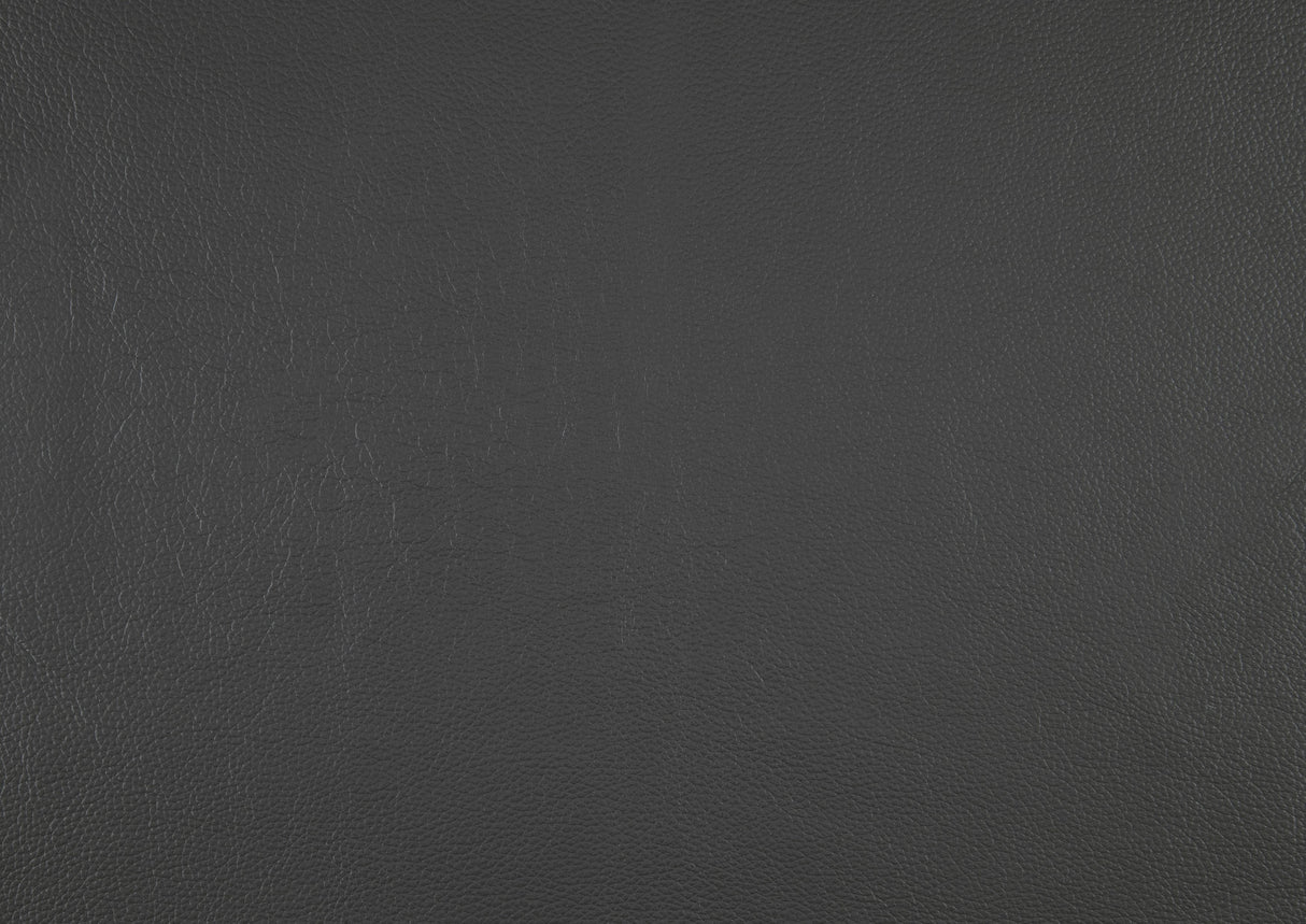 Laconia Dark Gray Leather Double Reclining Living Room Set by Homelegance at Eve Furniture