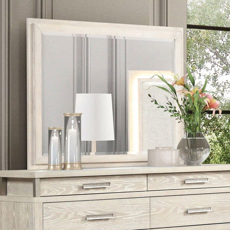 Lafayette Weathered Gray Mirror by Furniture of America at Eve Furniture
