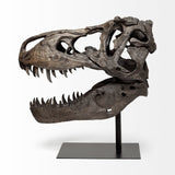 Lagrane 19L x 11W Brown Resin Tyrannosaurus T Rex Dinosaur Skull Replica by Mercana at Eve Furniture