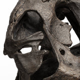 Lagrane 19L x 11W Brown Resin Tyrannosaurus T Rex Dinosaur Skull Replica by Mercana at Eve Furniture