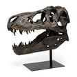 Lagrane 19L x 11W Brown Resin Tyrannosaurus T Rex Dinosaur Skull Replica by Mercana at Eve Furniture