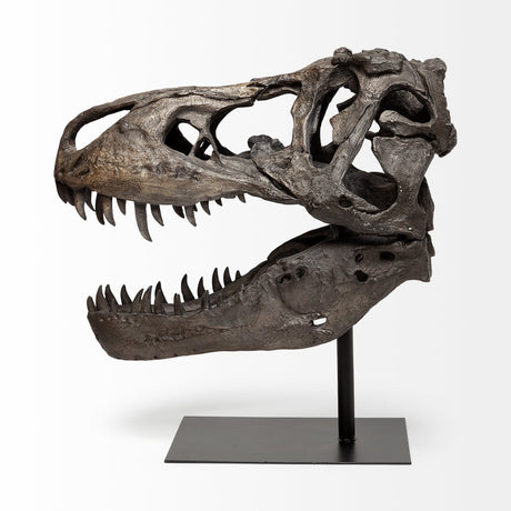 Lagrane Brown Resin Tyrannosaurus T Rex Dinosaur Skull Replica by Mercana at Eve Furniture
