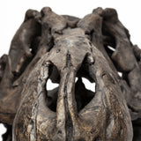 Lagrane Brown Resin Tyrannosaurus T Rex Dinosaur Skull Replica by Mercana at Eve Furniture