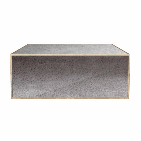 Lana Mirrored Coffee Table by Inspire Me! Home Decor by TOV Furniture at Eve Furniture