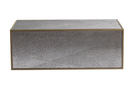 Lana Mirrored Coffee Table by Inspire Me! Home Decor by TOV Furniture at Eve Furniture