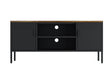Landen 47" TV Stand in Black by Manhattan Comfort at Eve Furniture