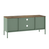 Landen 47" TV Stand in Green by Manhattan Comfort at Eve Furniture