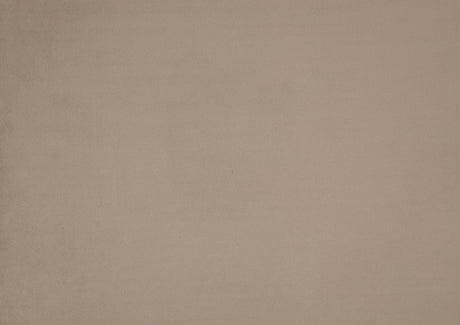 Landers Light Brown Velvet Accent Chair by Homelegance at Eve Furniture