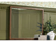 Langley Autumn Forest Dresser Mirror by Modus Furniture at Eve Furniture