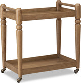 Langley Cabin Glow Bar Cart by Modus Furniture at Eve Furniture